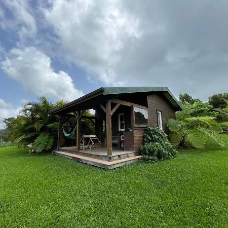 Bungalow A Flanc De Colline Villa Le Morne-Rouge Exterior photo