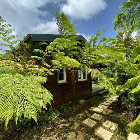 Bungalow A Flanc De Colline Villa Le Morne-Rouge Exterior photo