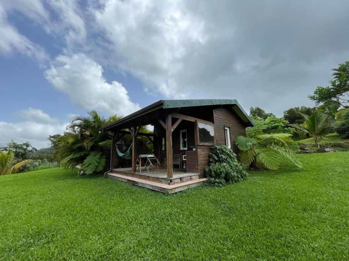 Bungalow A Flanc De Colline Villa Le Morne-Rouge Exterior photo