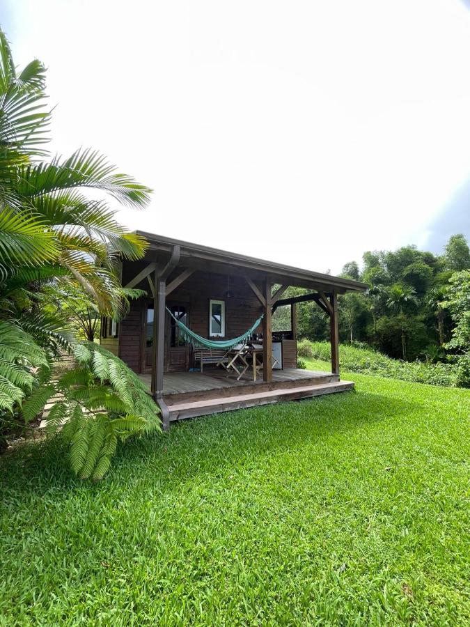 Bungalow A Flanc De Colline Villa Le Morne-Rouge Exterior photo